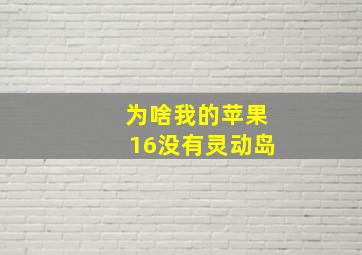 为啥我的苹果16没有灵动岛