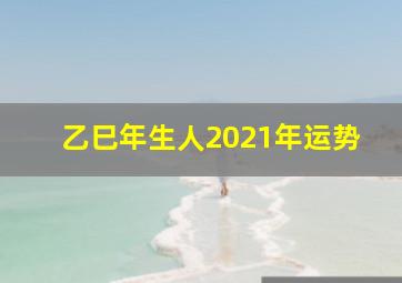 乙巳年生人2021年运势