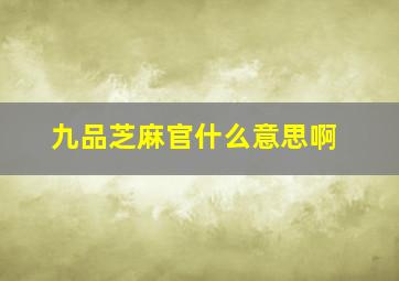 九品芝麻官什么意思啊