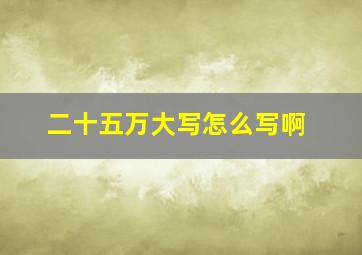 二十五万大写怎么写啊