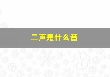 二声是什么音