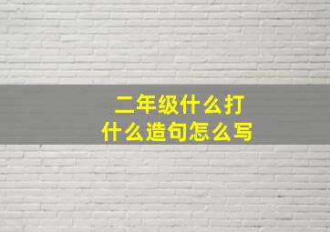 二年级什么打什么造句怎么写