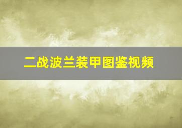 二战波兰装甲图鉴视频