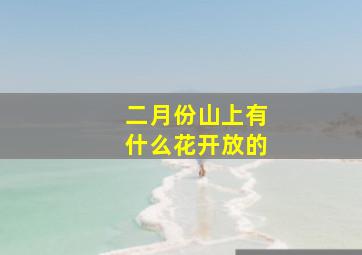 二月份山上有什么花开放的