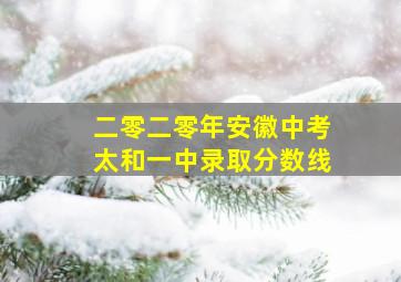 二零二零年安徽中考太和一中录取分数线