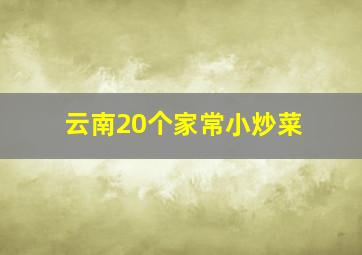 云南20个家常小炒菜