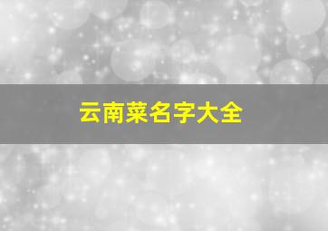 云南菜名字大全