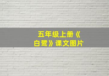 五年级上册《白鹭》课文图片