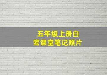 五年级上册白鹭课堂笔记照片