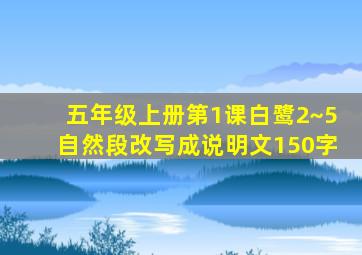 五年级上册第1课白鹭2~5自然段改写成说明文150字