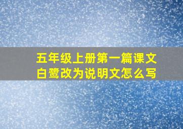 五年级上册第一篇课文白鹭改为说明文怎么写