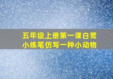 五年级上册第一课白鹭小练笔仿写一种小动物