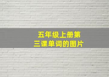 五年级上册第三课单词的图片