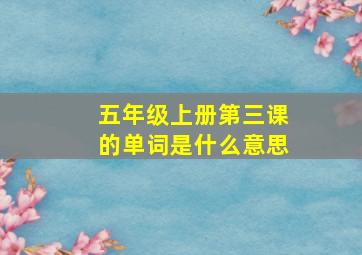 五年级上册第三课的单词是什么意思