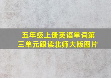 五年级上册英语单词第三单元跟读北师大版图片