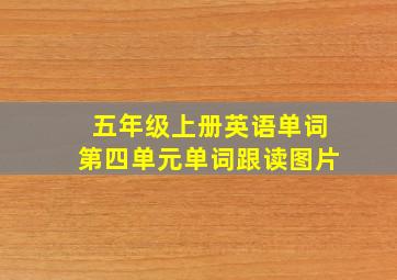 五年级上册英语单词第四单元单词跟读图片