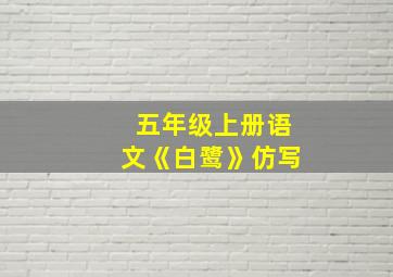 五年级上册语文《白鹭》仿写