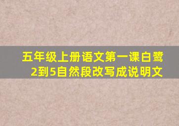 五年级上册语文第一课白鹭2到5自然段改写成说明文