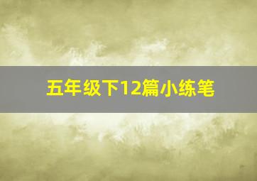 五年级下12篇小练笔