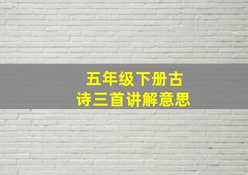 五年级下册古诗三首讲解意思