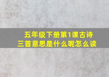 五年级下册第1课古诗三首意思是什么呢怎么读