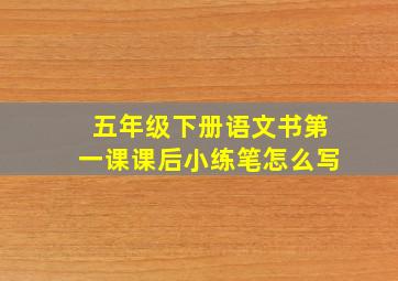 五年级下册语文书第一课课后小练笔怎么写