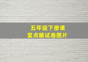 五年级下册课堂点睛试卷图片