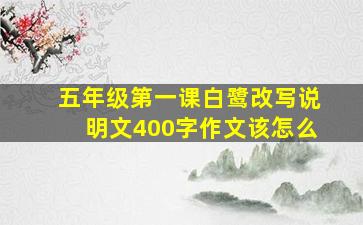 五年级第一课白鹭改写说明文400字作文该怎么