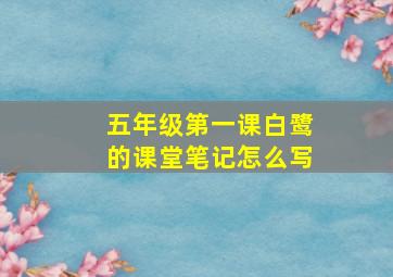 五年级第一课白鹭的课堂笔记怎么写