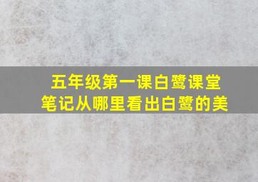 五年级第一课白鹭课堂笔记从哪里看出白鹭的美