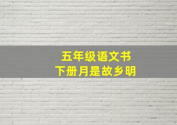 五年级语文书下册月是故乡明