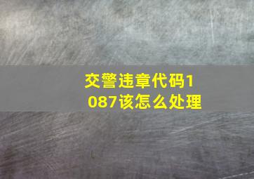 交警违章代码1087该怎么处理