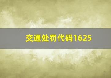 交通处罚代码1625