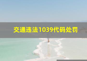 交通违法1039代码处罚