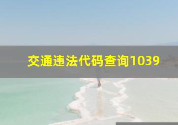 交通违法代码查询1039