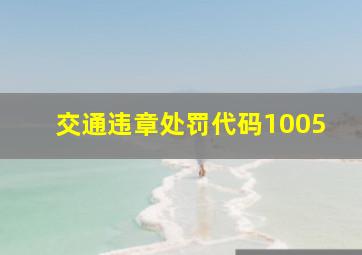 交通违章处罚代码1005