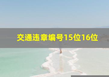 交通违章编号15位16位