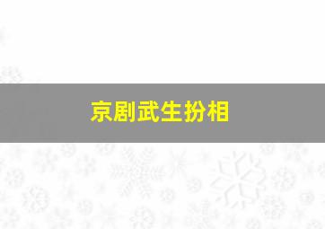 京剧武生扮相