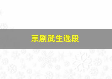 京剧武生选段