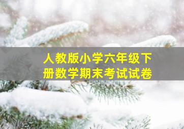 人教版小学六年级下册数学期末考试试卷