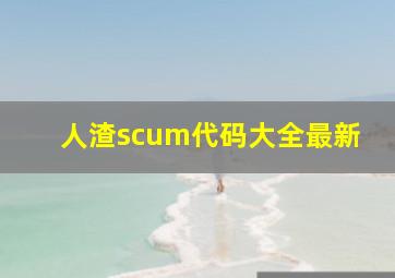 人渣scum代码大全最新