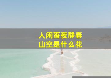 人闲落夜静春山空是什么花