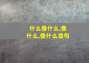 什么像什么,像什么,像什么造句