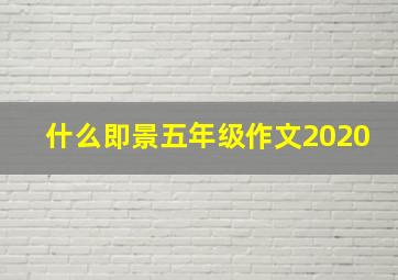 什么即景五年级作文2020