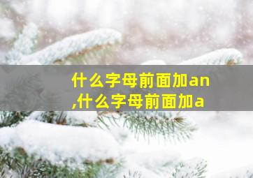 什么字母前面加an,什么字母前面加a