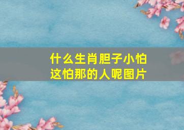 什么生肖胆子小怕这怕那的人呢图片