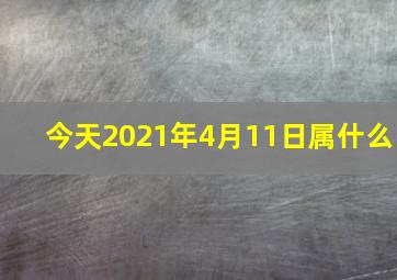 今天2021年4月11日属什么