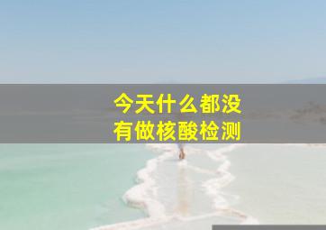 今天什么都没有做核酸检测