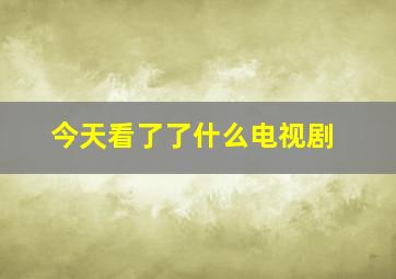 今天看了了什么电视剧