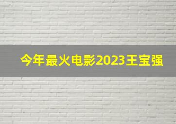 今年最火电影2023王宝强